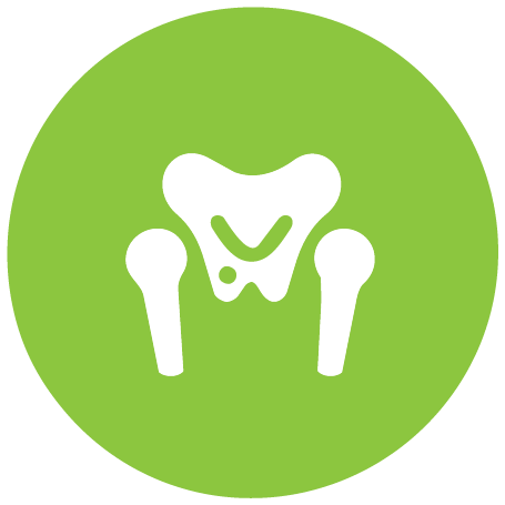 Hip & Groin Pain