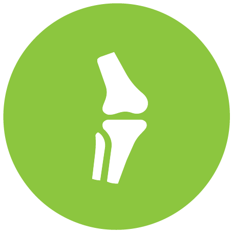 Knee Pain